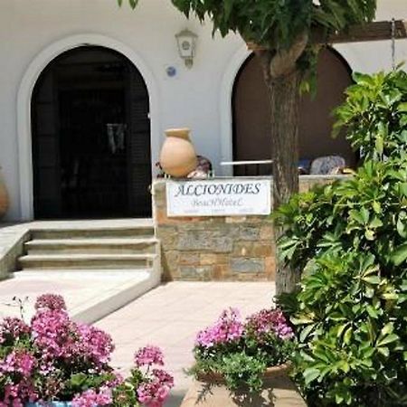 Alkyonides Beach Hotel Malia Buitenkant foto